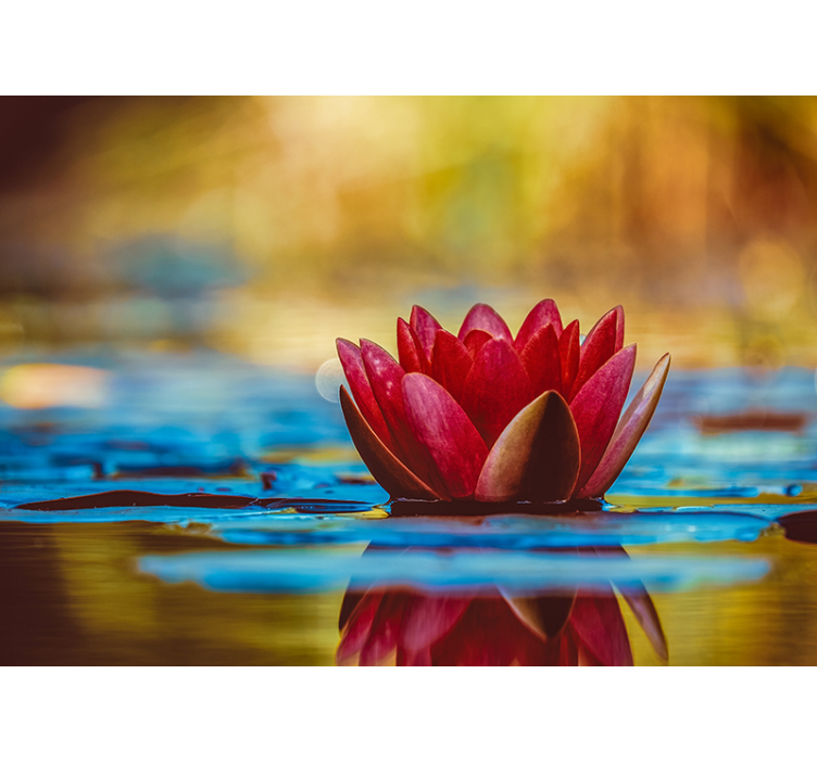 Tapisserie magnolia nénuphar gracieux - TenStickers