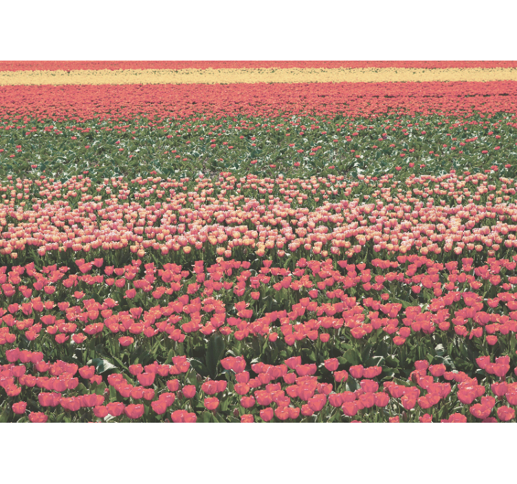 Tapisserie fleur paysage de champ de tulipes - TenStickers