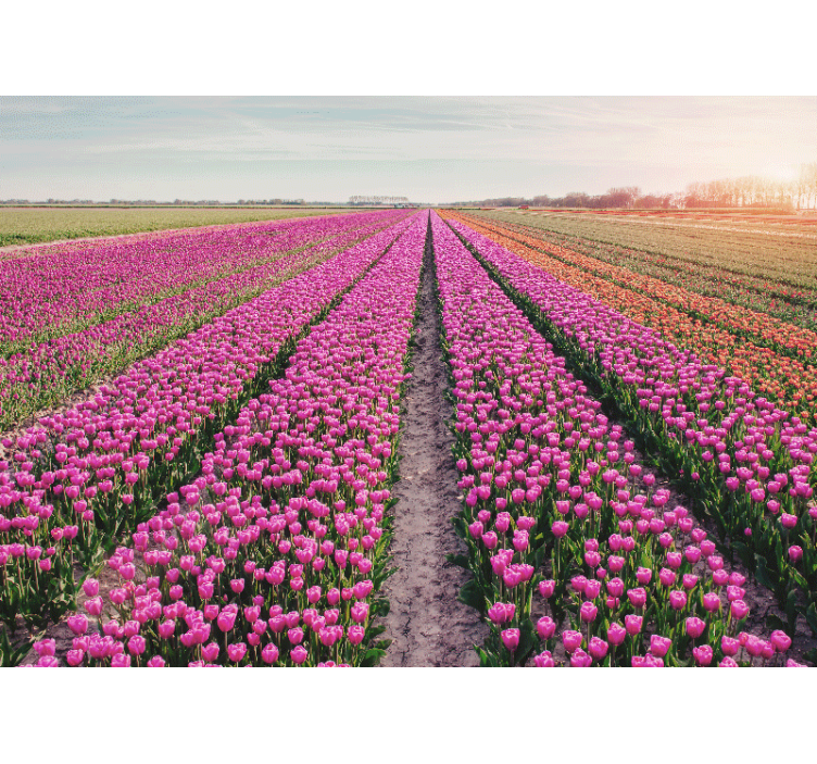 Tapisserie fleur prairie de tulipes - TenStickers