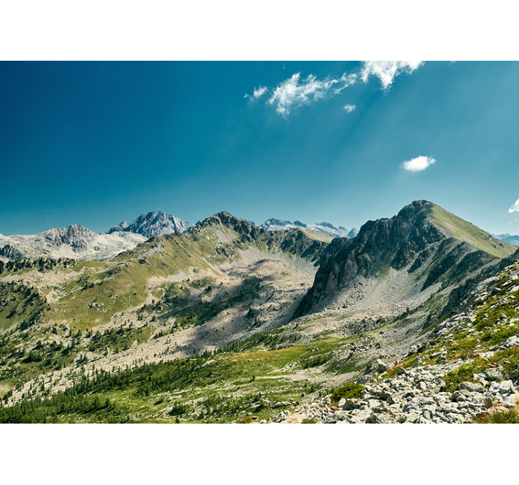 Tapisserie paysage vue sur les grandes montagnes - TenStickers