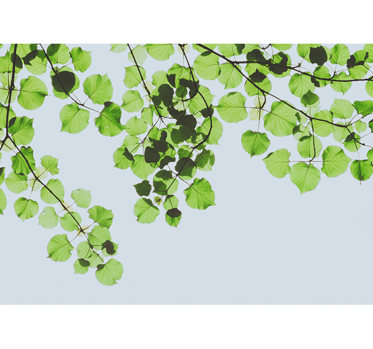 Tapisserie arbre canopée de branches feuillues - TenStickers