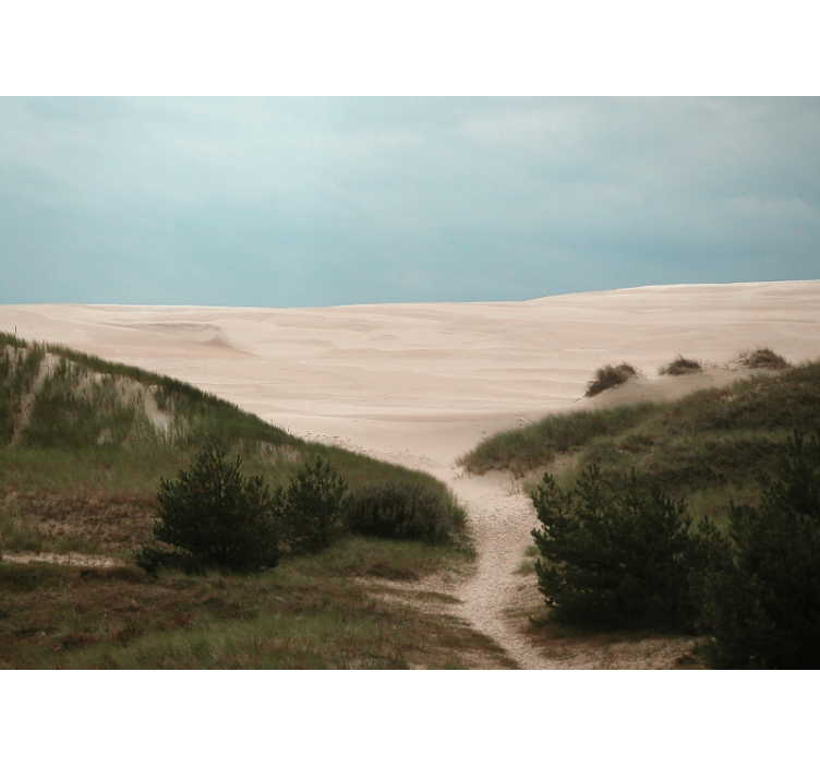 Tapisserie paysage chemin de dunes de sable - TenStickers