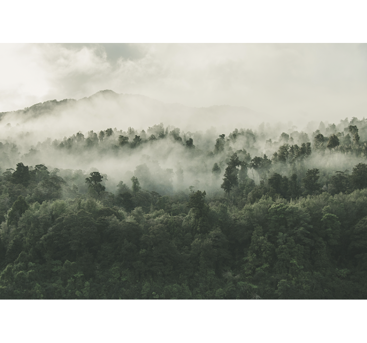 Papier peint forêt brumeuse vue du ciel - TenStickers