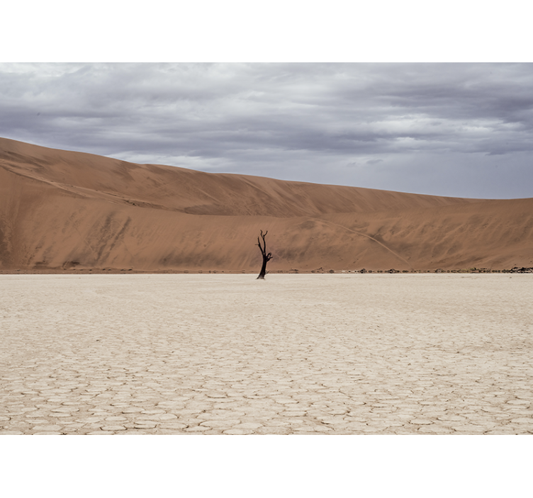 Tapisserie montagne paysage désertique - TenStickers