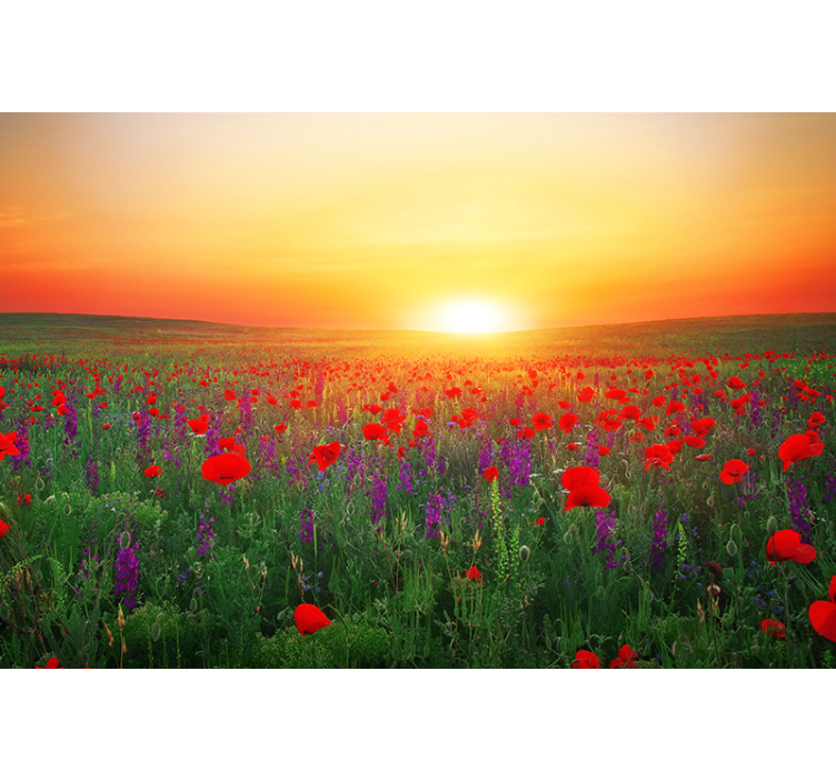 Tapisserie coquelicots coucher de soleil doré - TenStickers