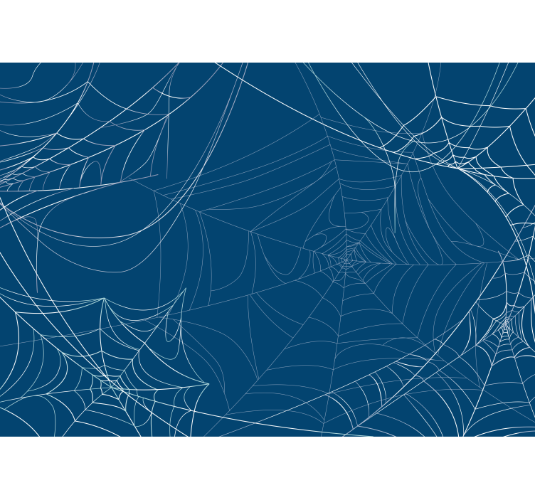 Tapisserie zen design toile d'araignée - TenStickers