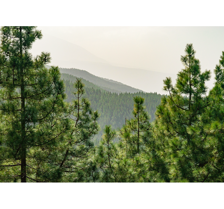 Tapisserie nature paysage verdoyant luxuriant - TenStickers