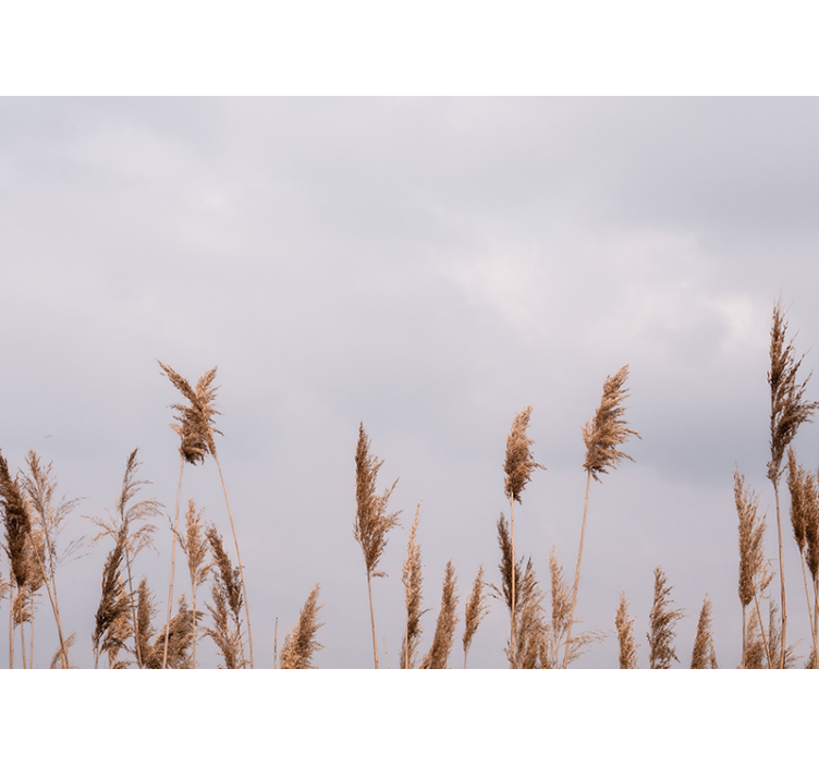 Tapisserie arbre silhouettes d'herbe haute - TenStickers