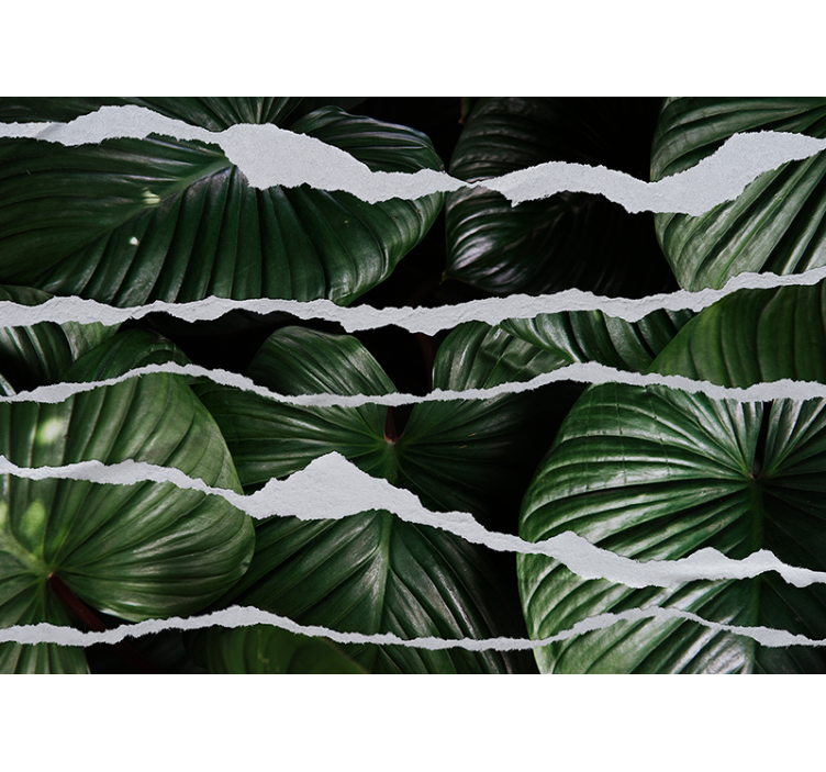 Papier peint nature design feuillage luxuriant - TenStickers