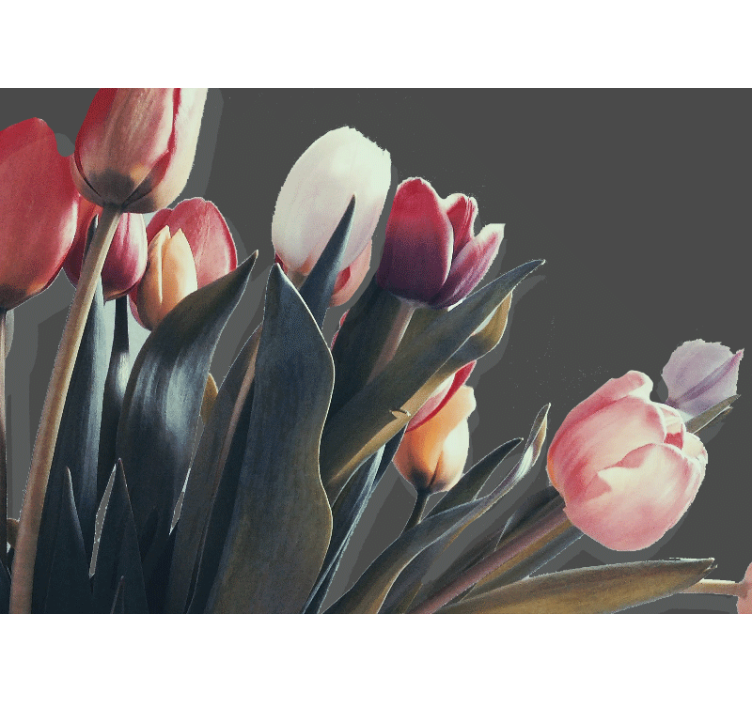 Tapisserie fleur affichage de tulipes en fleurs - TenStickers