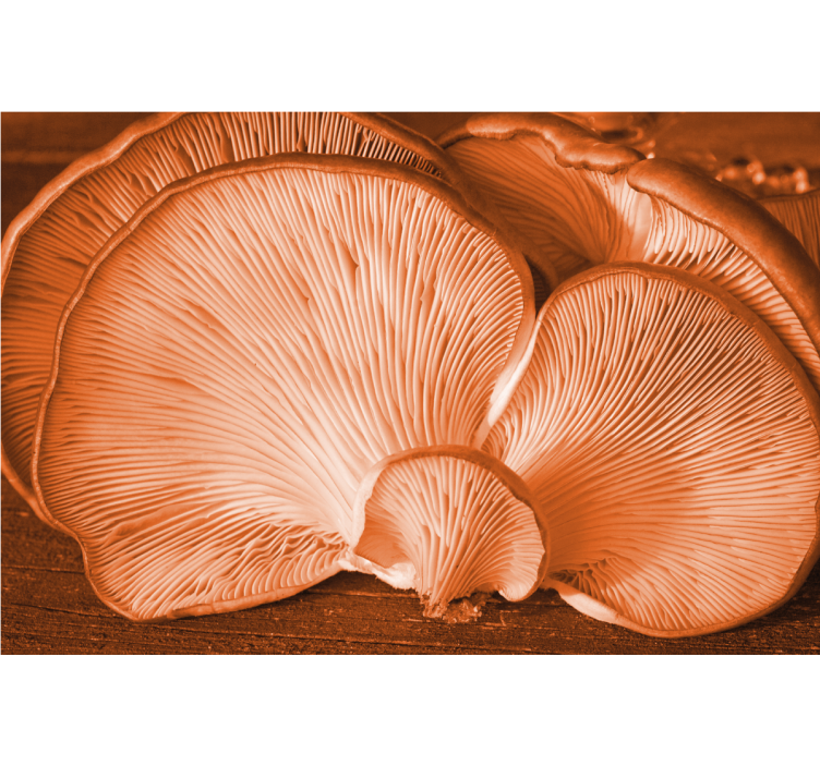 Tapisserie fleur affichage texture champignon - TenStickers