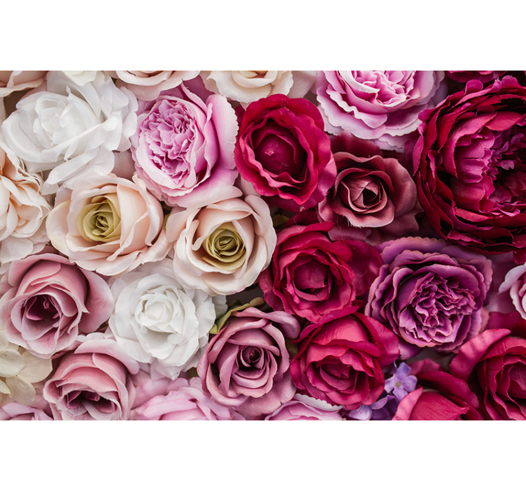 Tapisserie fleur collection de roses magnifiques - TenStickers