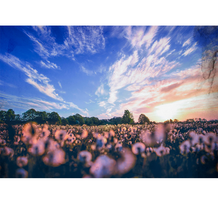 Tapisserie fleur champ de pissenlits sérénité - TenStickers