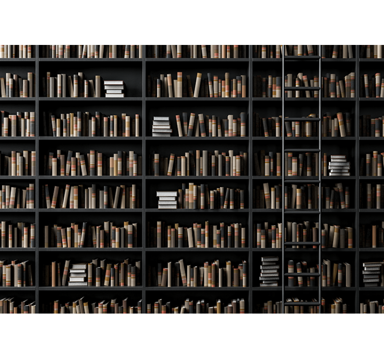 Tapisserie imitation pierre assortiment de livres - TenStickers