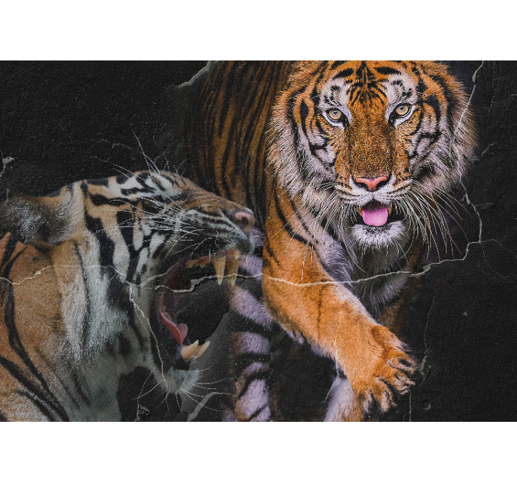 Tapisserie animaux rencontre avec un tigre majestueux - TenStickers