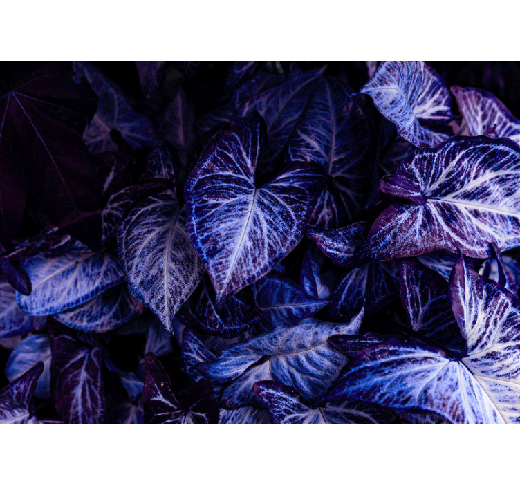 Tapisserie salon motifs de feuilles violettes - TenStickers