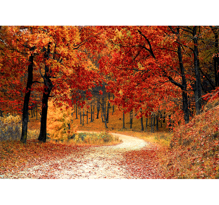 Papier peint nature chemin forestier d'automne - TenStickers