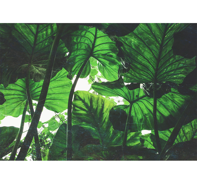 Tapisserie nature canopée de feuilles luxuriantes - TenStickers