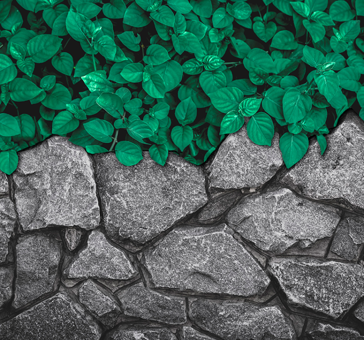 Tapisserie nature contraste de verdure luxuriante - TenStickers