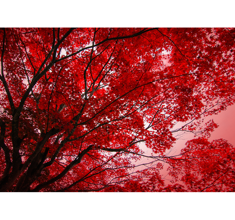 Tapisserie murale arbre feuilles rouges - TenStickers