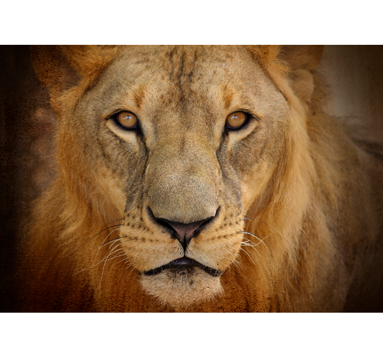 Tapisserie lion regard intense - TenStickers