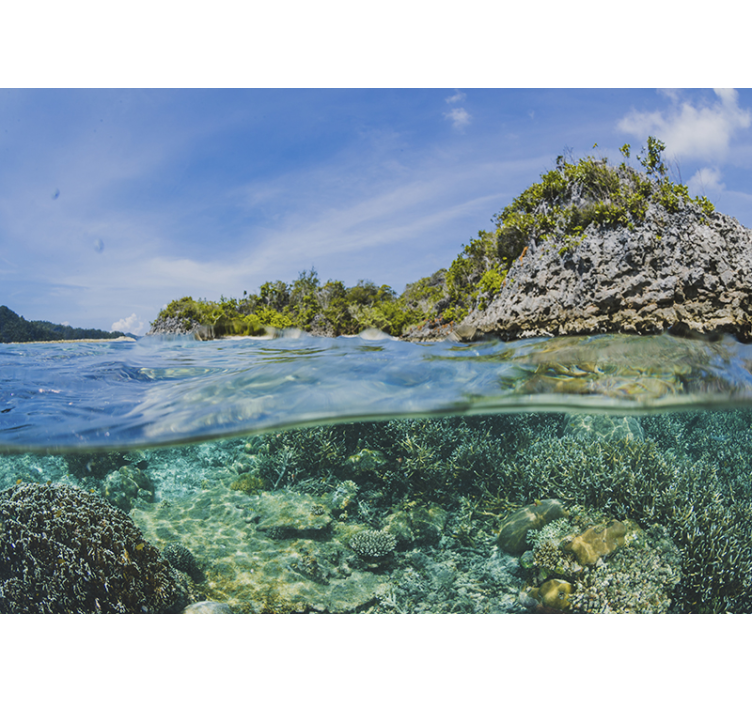 Tapisserie paysage scène marine sous-marine - TenStickers