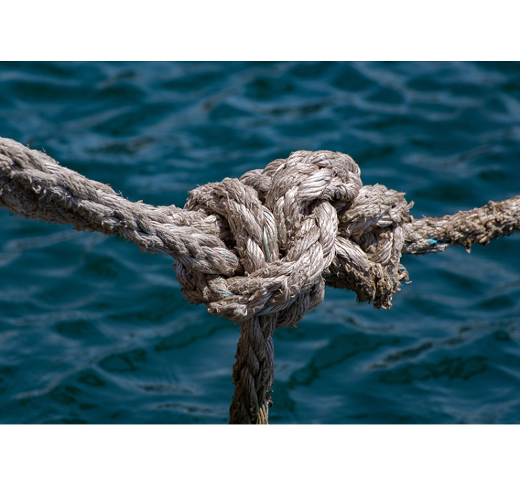 Tapisserie mer force du noeud nautique - TenStickers