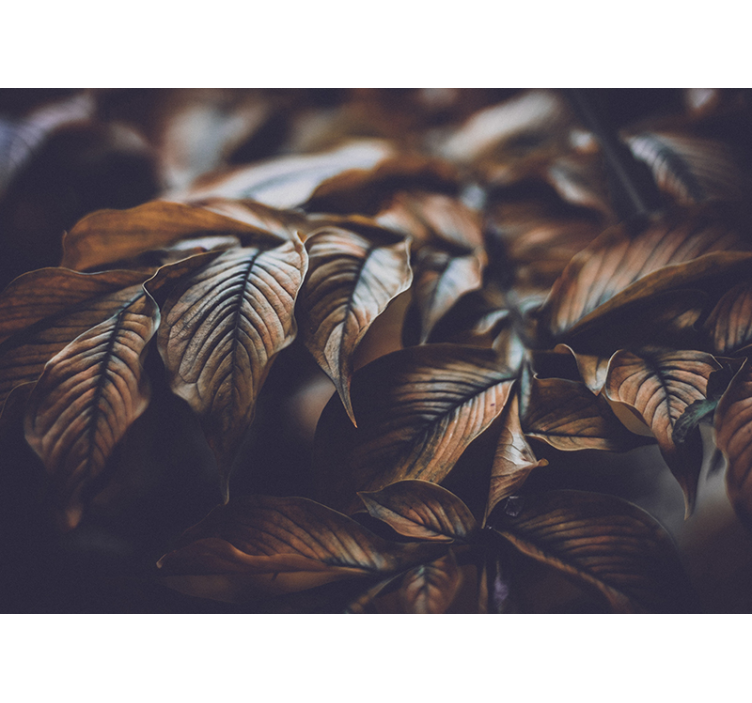 Tapisserie autres fleurs gros plan de feuilles d'automne - TenStickers