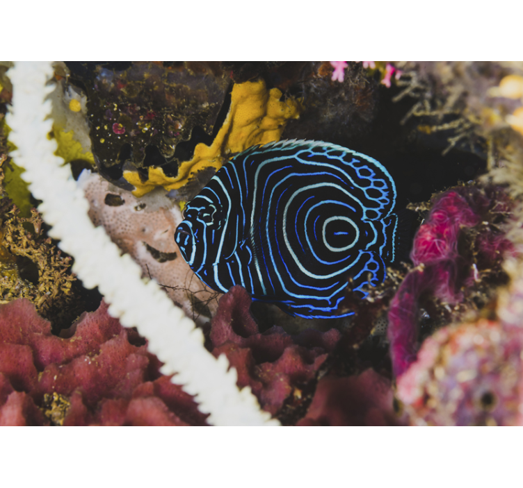 Tapisserie animaux motifs de poissons bleus - TenStickers