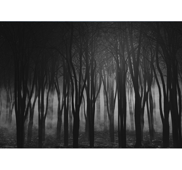 Papier peint photo forêt brumeuse - TenStickers