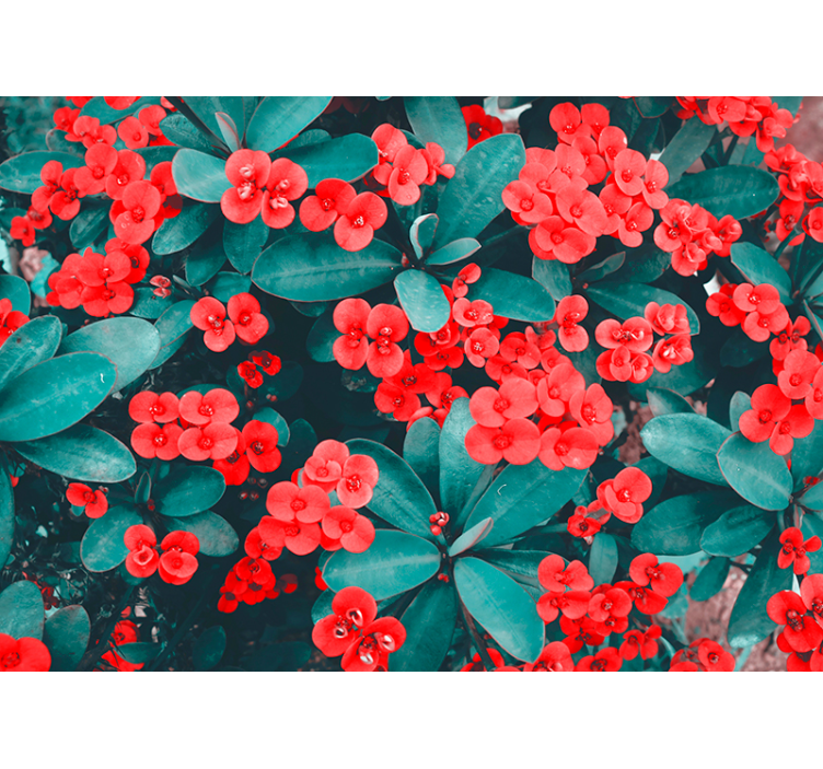 Tapisserie fleur composition florale rouge - TenStickers