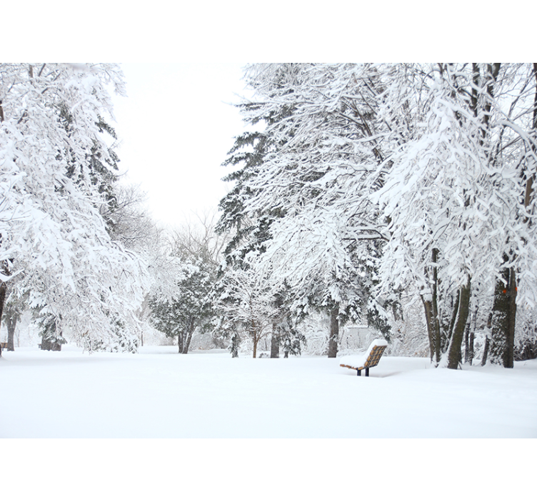 Tapisserie nature paysage d'hiver apaisant - TenStickers