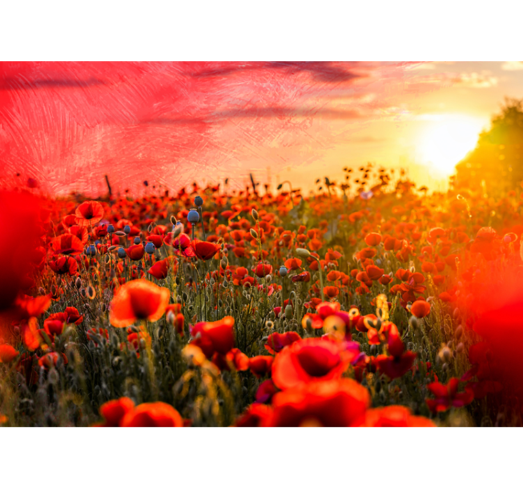 Tapisserie coquelicots coucher de soleil sur champ - TenStickers