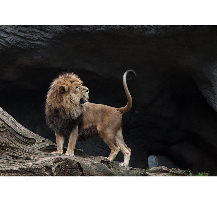 Tapisserie lion portrait de lion majestueux - TenStickers