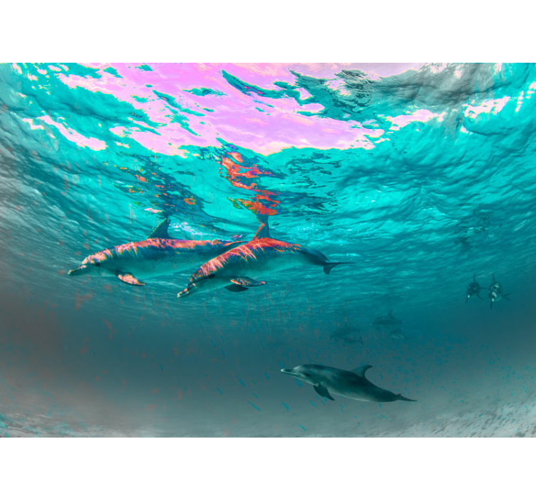 Tapisserie animaux dauphins nageant joyeusement - TenStickers