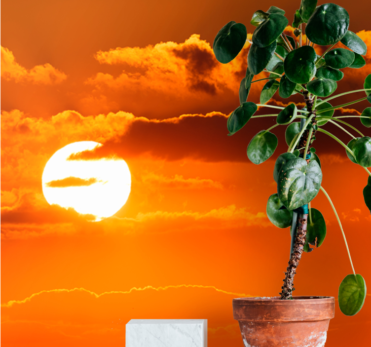 Tapisserie ciel coucher de soleil sur les nuages - TenStickers