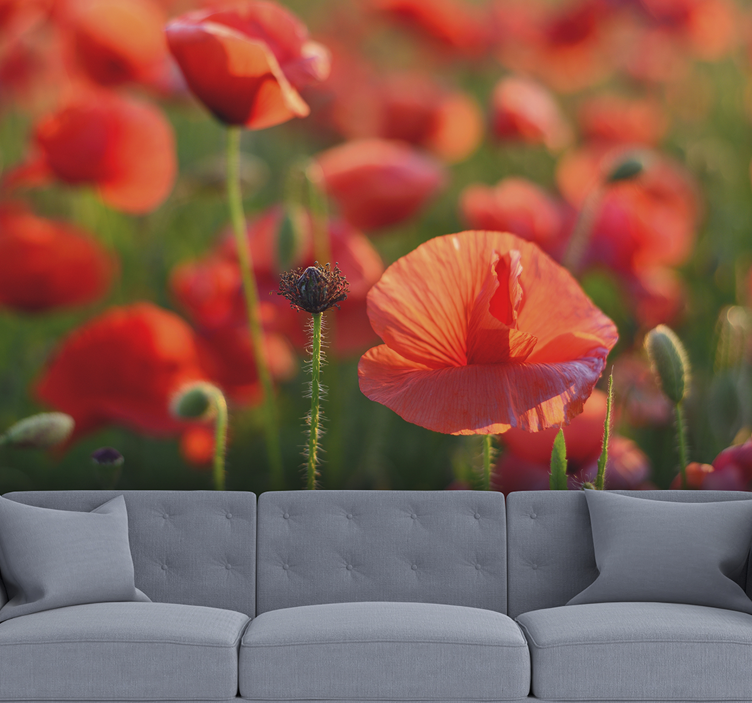 Tapisserie coquelicots champ rouge vibrant - TenStickers