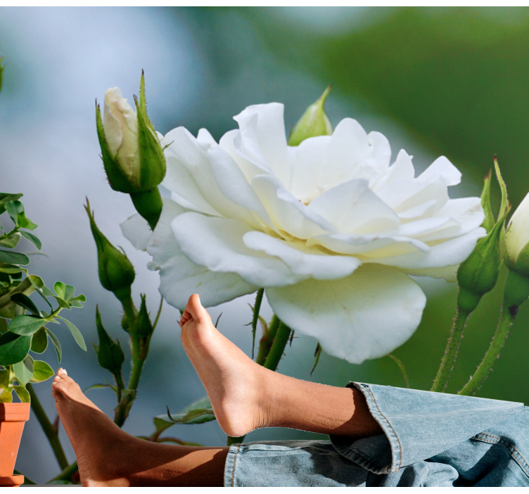 Tapisserie fleur rose blanche élégante - TenStickers