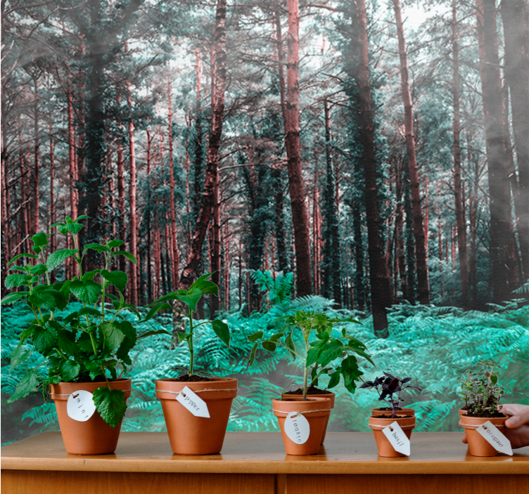 Tapisserie nature forêt luxuriante - TenStickers