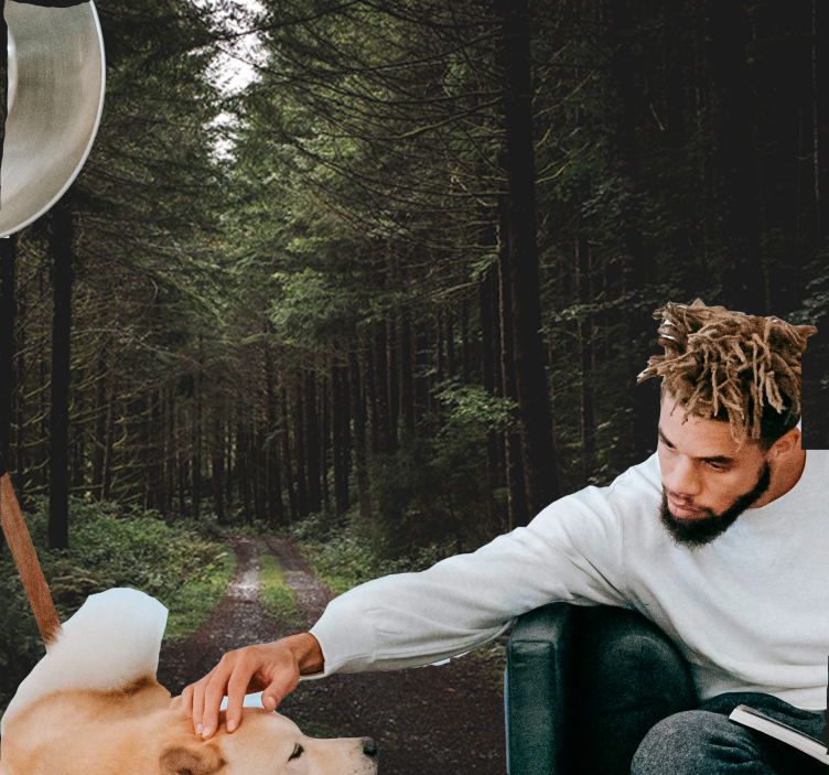 Tapisserie nature sentier boisé verdoyant - TenStickers