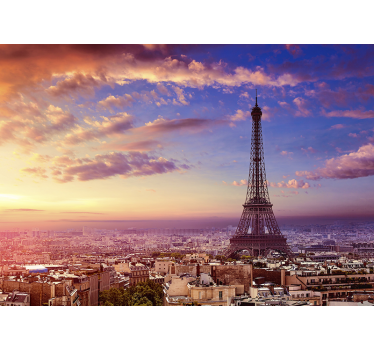 Mur de paris vue par air city - TenStickers