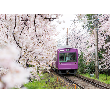 Tapisserie villes et pays train aux cerisiers en fleurs - TenStickers