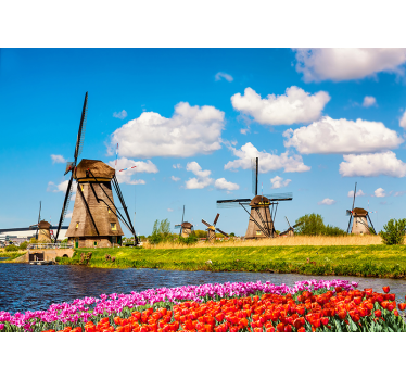 Tapisserie villes et pays moulins à vent et tulipes - TenStickers