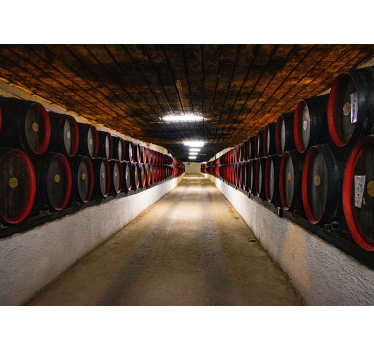 Tapisserie villes et pays couloir de fût de vin - TenStickers