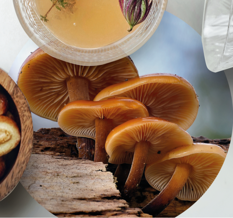 Sous verre moderne arrangement de champignons - TenStickers