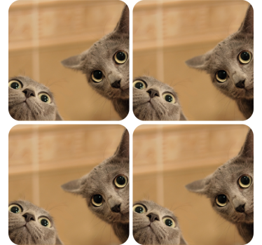 Sous verre bière visages de chat curieux - TenStickers