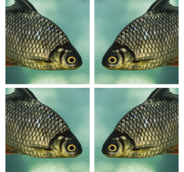 Sous verre bière image réaliste de poisson - TenStickers