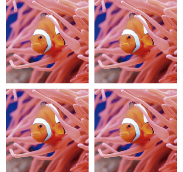 Sous verre moderne scène sous-marine de poisson clown - TenStickers