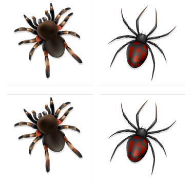 Sous verre halloween collection d'araignées effrayantes - TenStickers