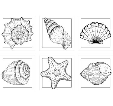 Sous verre motifs de coquillages complexes - TenStickers